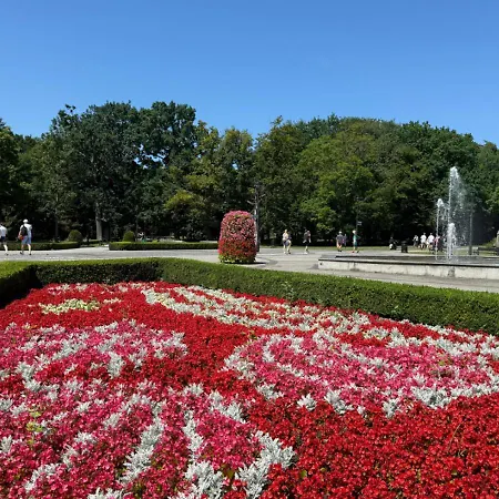 Debina Z Miejscem Parkingowym *