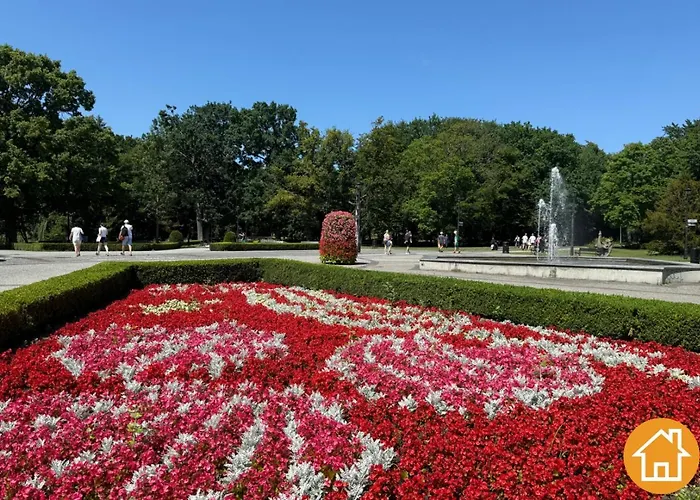 Debina Z Miejscem Parkingowym *