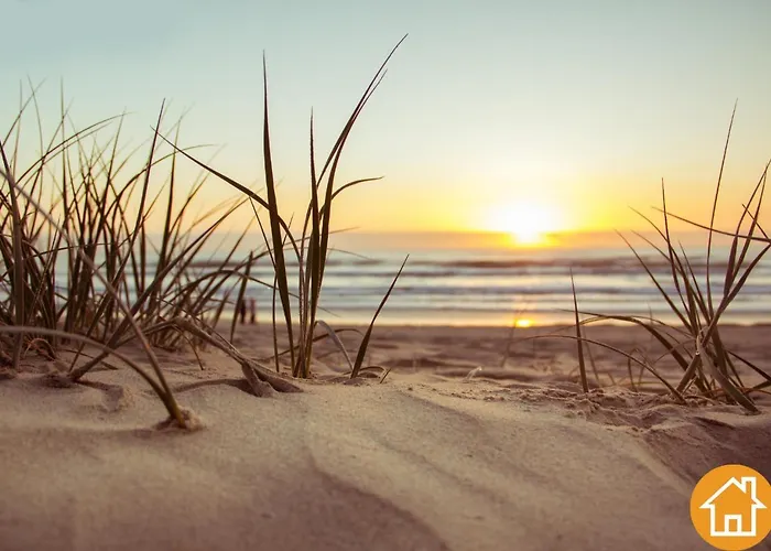 Debina Z Miejscem Parkingowym